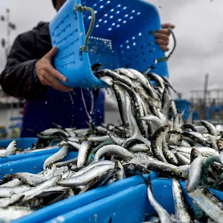 Casa de Férias Bali Casa Da Ilha